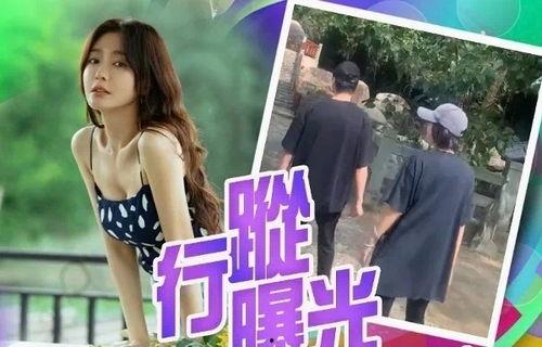 秦岚爆料杨幂了吗视频在线观看  第1张